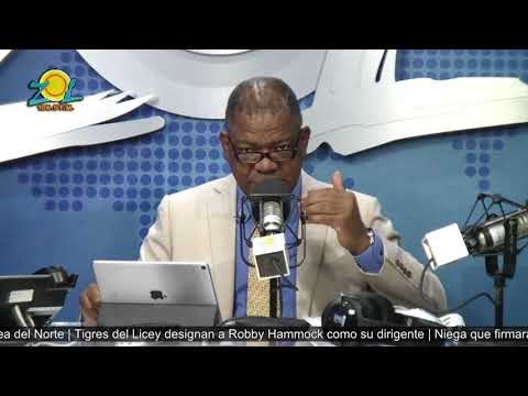 Julio Martinez Pozo comenta el derecho nacionalidad dominicana hijos de extranjeros legales