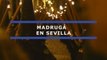 El tiempo permite la salida de las seis hermandades de la Madrugá de Sevilla