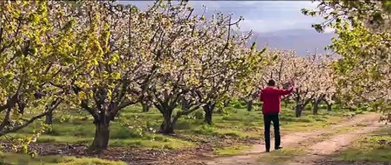 L'Adieu à la nuit, d'André Téchiné - bande annonce exclu