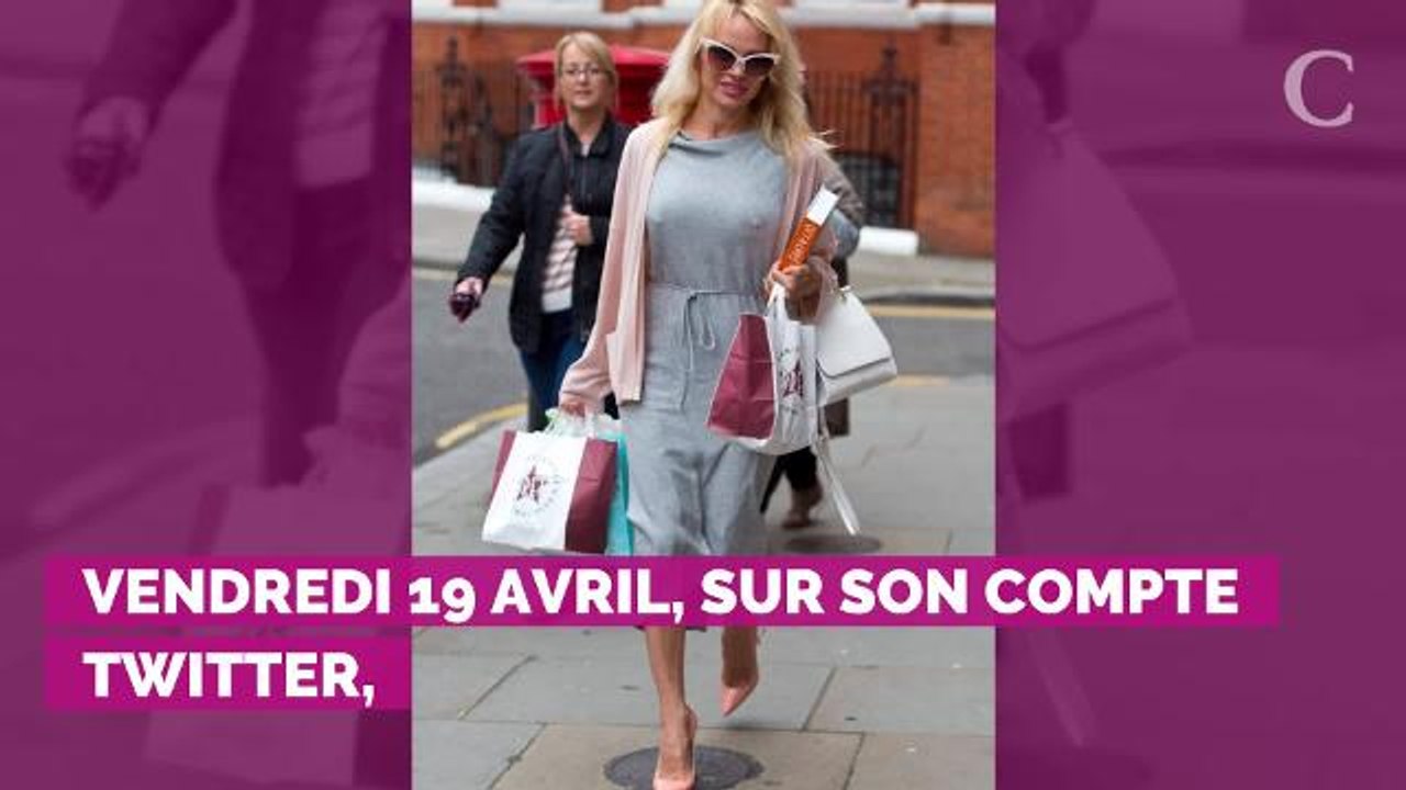 Incendie à Notre-Dame : Pamela Anderson s'indigne de la somme récoltée : "Je pensais que l'Église catholique avait assez d'argent"