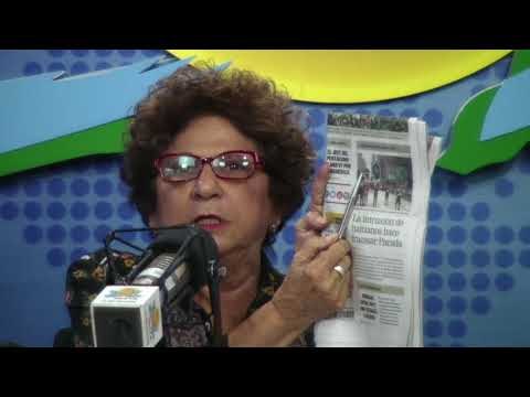 Consuelo Despradel comenta sobre la comunidad Haitiana en desfile Dominicano en NY