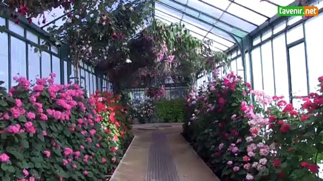 L'Avenir - Les Serres de Laeken ouvertes au public pour trois semaines: Un endroit unique au monde