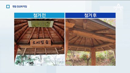 로이킴 숲·박유천 벚꽃길…흔적 지우기 나선 지자체