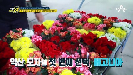 아침부터 무더기 꽃쇼핑! 도매상들이 총집합하는 집하장의 매력 大공개~