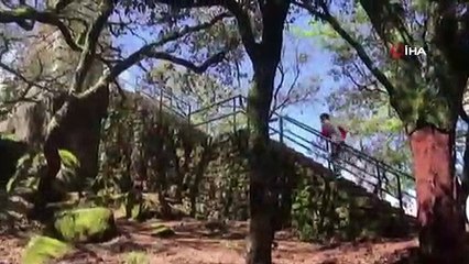 İlk İdmanında Sakatlanan Vieira, Sahalara Dönüyor