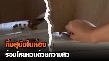 โชเซียลเดือด ทิ้งสุนัขไว้ในห้อง อดข้าวอดน้ำ น่าสงสาร