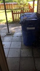 Il oublie du miel dans le garage et se retrouve avec des milliers d'abeilles à l'interieur