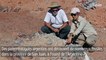 Argentine : découverte d'un cimetière de dinosaures datant de 220 millions d'années