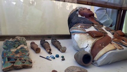 Discovery of a new Pharoah tomb in southern Egypt