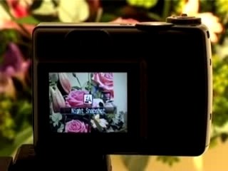 Canon PowerShot A550 7.1 MP Digital Camera