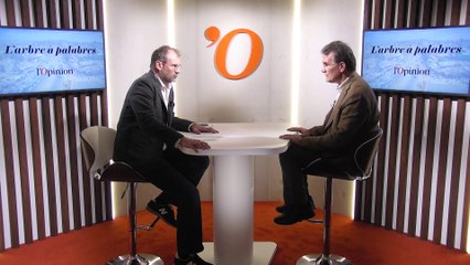 João Bosco Monte (Institut Brésil-Afrique): «There is a new perspective for Brazil-Africa business relations»