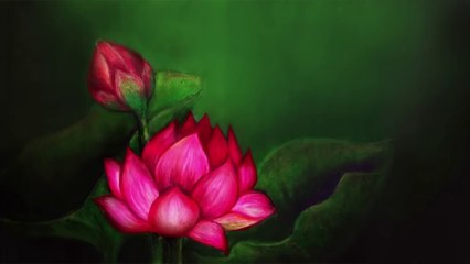 下载视频: easy oil pastel drawings lotus flower/ how to draw flowers for beginners step by step