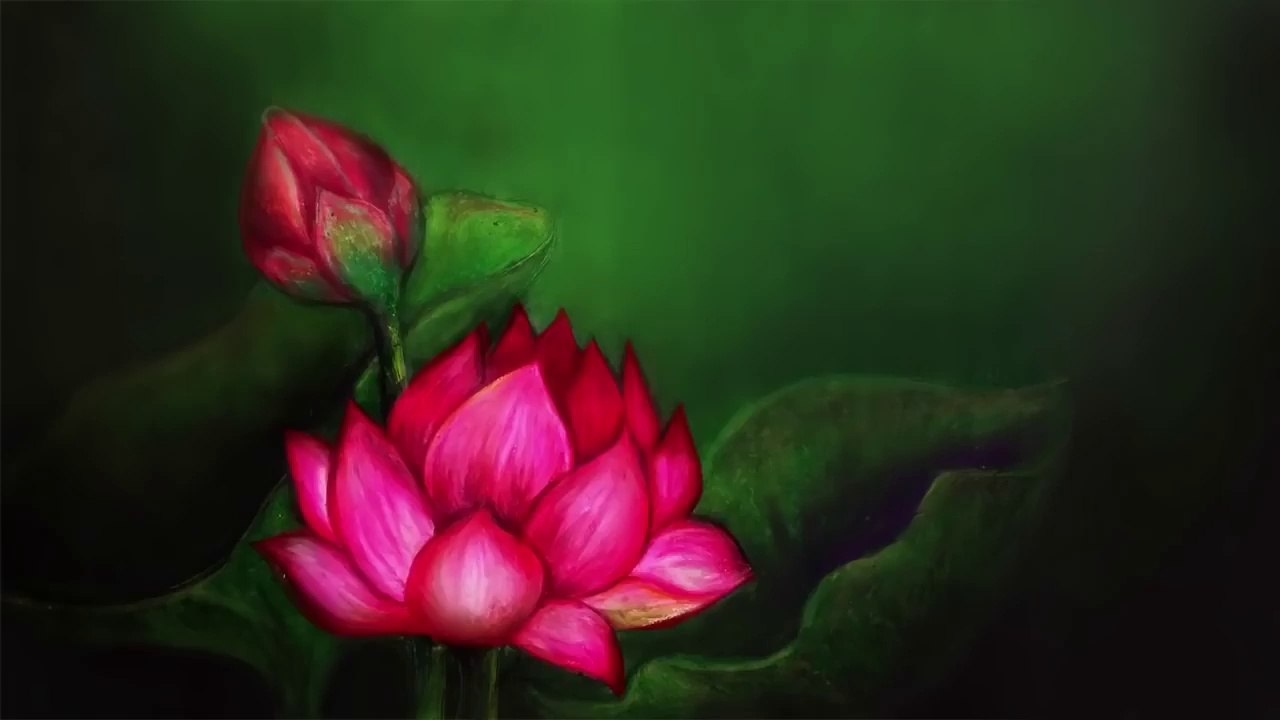 easy oil pastel drawings lotus flower/ how to draw flowers for beginners step by step