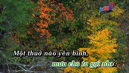 HẠT MƯA BUỒN - TRẦN THÁI HÒA -  KARAOKE HD