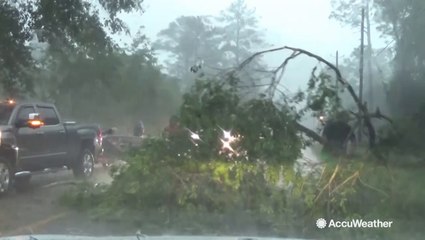 Flash flooding and trees down in Mississippi