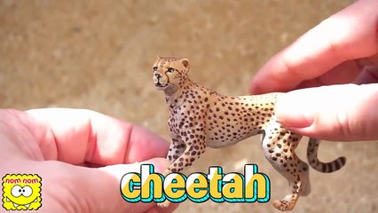 Les Animaux de Zoo pour les Enfants: Apprendre le Nom des Sons avec Schleich Safari Jouet pour les Enfants | NomNomToys