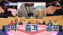두바이 소녀 파티마, 하늘을 날다?! 지상 170m에서 즐기는 아-찔한 집라인(ㄷㄷ)