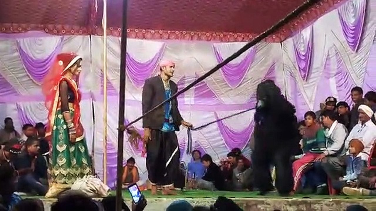 जरवाही बिहार में स्टेज डांस प्रोग्राम डांस देख लोग नाचने पर मजबूर