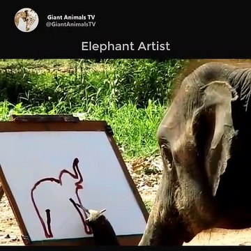 Elephant Artist - Elephant made his image by paint and brushes