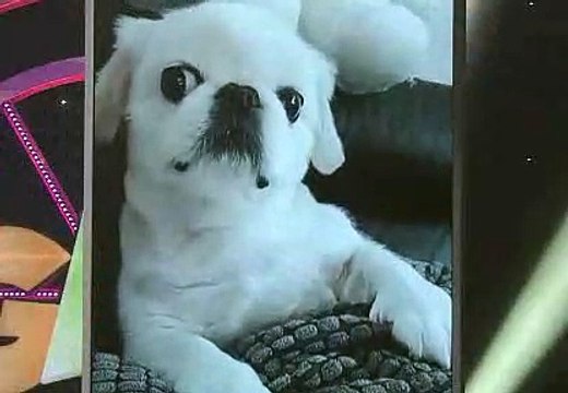 대구오피【op600 com】【달콤월드ST┖대구오피┙】대구건마 대구유흥㈁ 대구안마 대구op 대구오피㈉ 대구오피 대구키스방 대구마사지 대구kiss