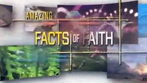 Amazing Facts of Faith — Giant Mirrors
