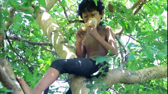 La Technologie Primitive - la Cuisson sur un rocher de manger du poulet délicieux