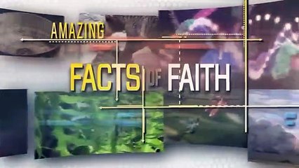 Amazing Facts of Faith — Lions