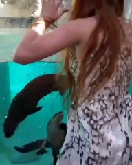 Époustouflant ! Ces loutres imitent tout ce que fait une jeune femme.