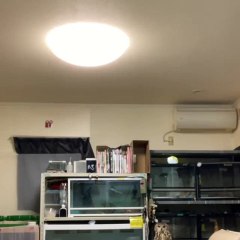 Ce hibou grand-duc est juste majestueux. Admirez le !