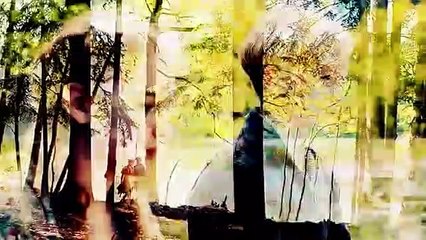 liesel & rudy - let him go