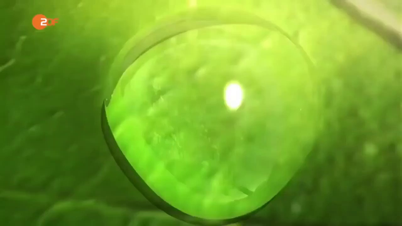 Elektroautos der ökologisch schlimmste Gau für die Umwelt