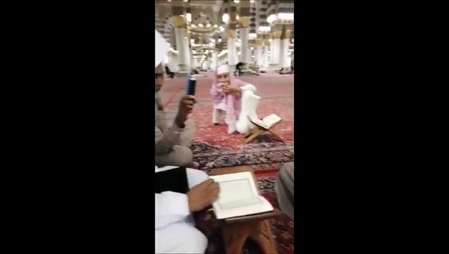 Un oiseau qui aime beaucoup écouter du Coran