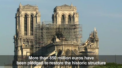 Tourists react to sight of Notre-Dame cathedral