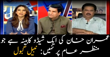 Imran Khan has a shadow cabinet, hidden from public view: Nabeel Gabol