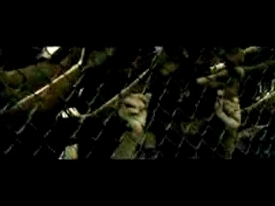 Wyclef Jean featuring_Akon  Lil  Wayne  and  Niia  - Sweetes