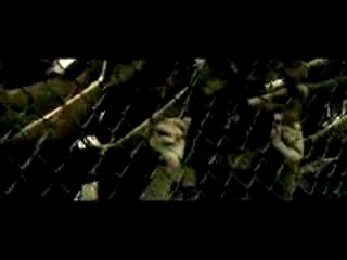 Wyclef Jean featuring_Akon  Lil  Wayne  and  Niia  - Sweetes