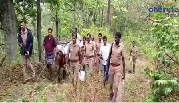 சாலை வசதி செய்து தருவதாக உறுதியளித்தால் மட்டுமே வாக்களிப்போம்- மலைக் கிராம மக்கள்- வீடியோ
