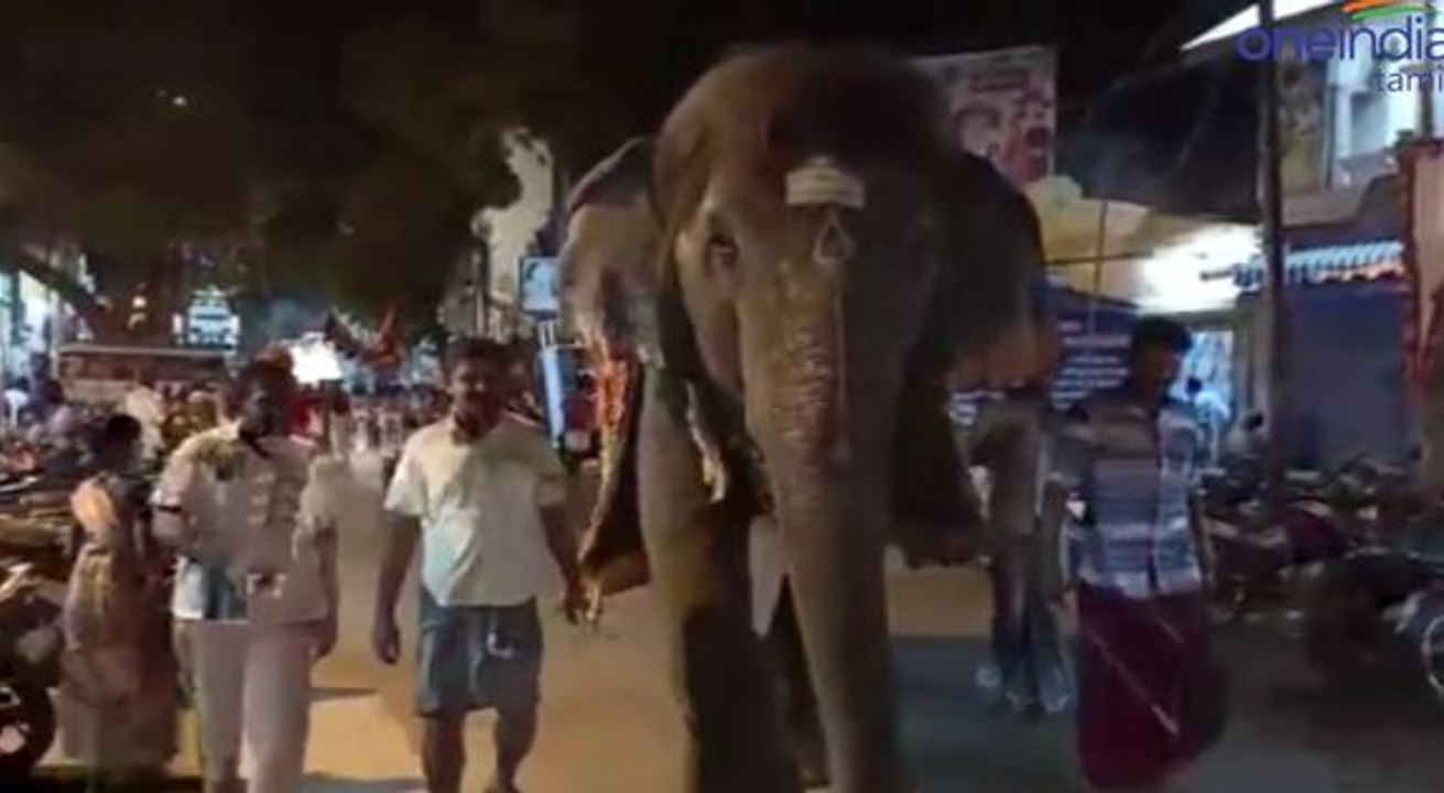 1000 ஆண்டுகள் பழமை வாய்ந்த அருள்மிகு சங்கரநாராயணசுவாமி கோயில் சித்திரைத் திருவிழா-