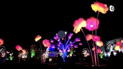 AGENDA RÉGION - 22 AVRIL 2019