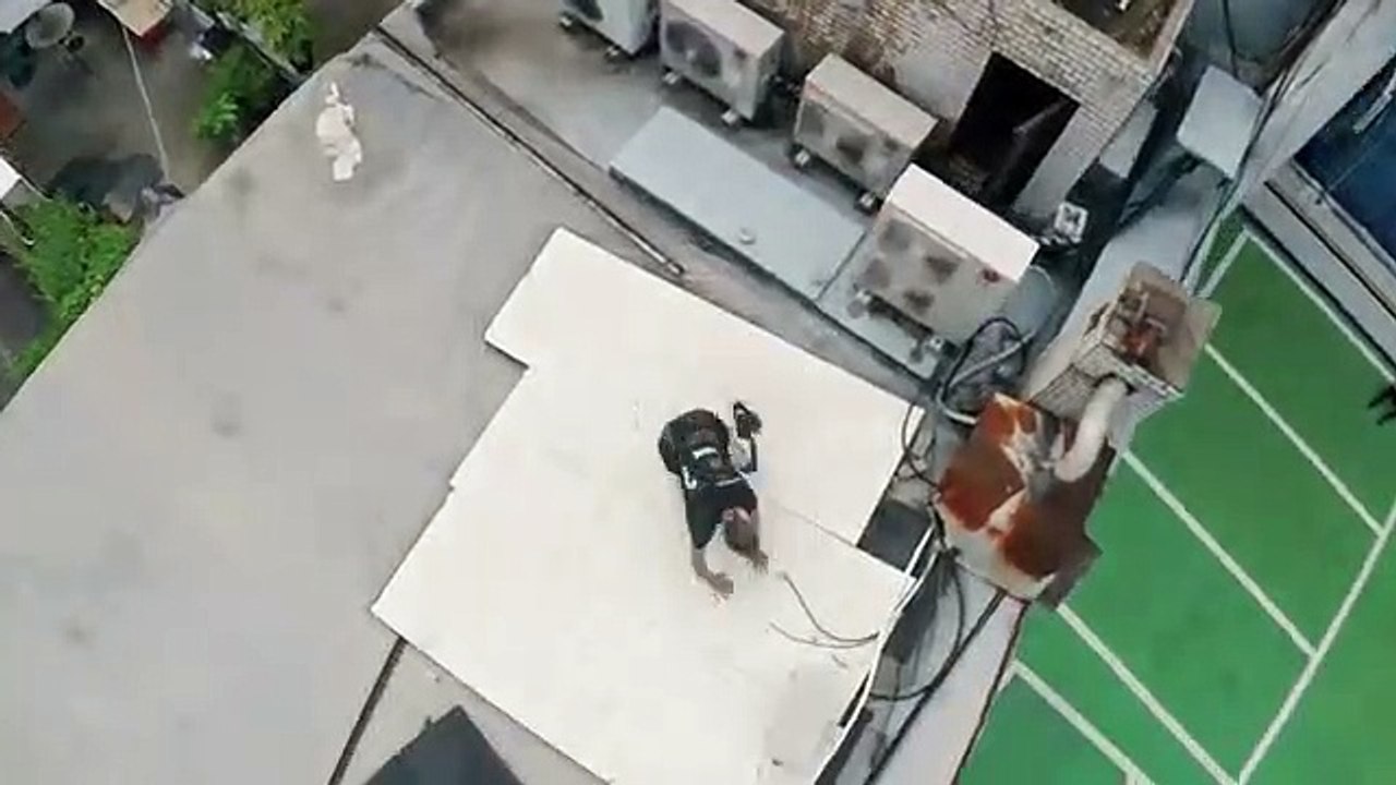 Jump at Height - Best of Roof Culture Asia