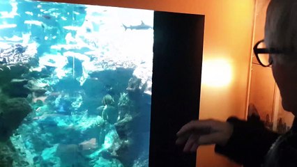 La Cité de la Mer : les coulisses