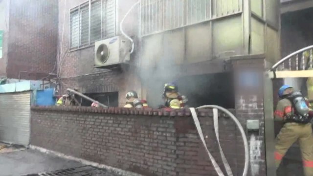 주택가·사찰 화재 잇따라...도심 출몰 멧돼지 사살 / YTN