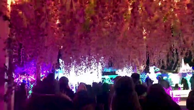 Aurora Winter festival | Canada's largest winter festival | Toronto Winter festival