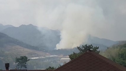 계룡산국립공원 인근 야산에 불...1시간 만에 진화 / YTN