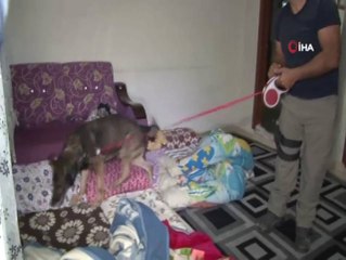 Şafak Vakti Dronelu, 600 Polisli Torbacı Operasyonu