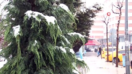 Van'a Nisan ayında kar sürprizi