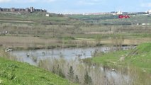 Diyarbakır Dicle Vadisi Kelebeklerle Renklendi