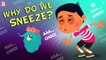 Why Do We Sneeze? The Dr. Binocs Show | Best Learning Videos For Kids | Peekaboo Kidz