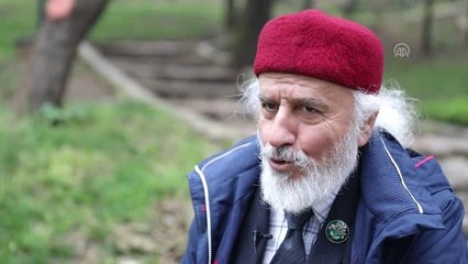 İstanbul'un Görsel Şöleni "Erguvan Ağaçları" (2)