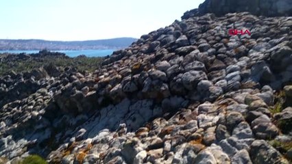 Balıkesir Cunda'daki Bazalt Sütunlar Turistlerin İlgi Odağı Oldu